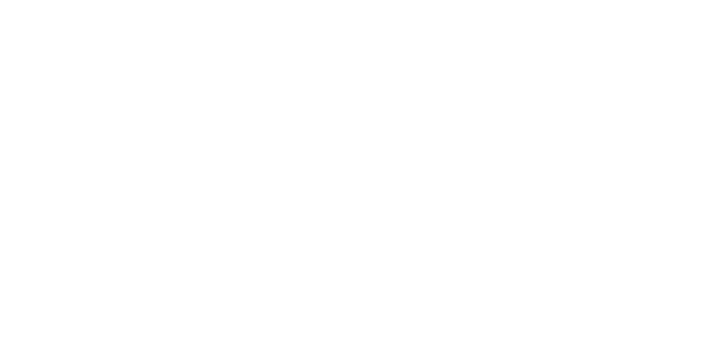 DS Mechatronics